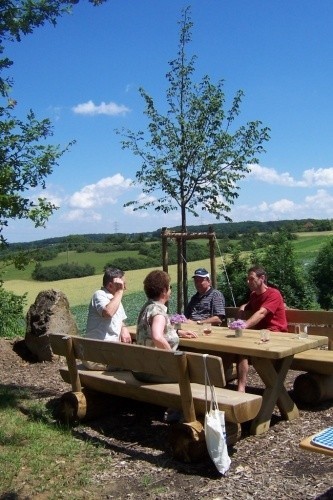 Schillerlinde 2007 (ca. 3 m hoch) mit dem alten Gedenkstein und der neuen Sitzgruppe